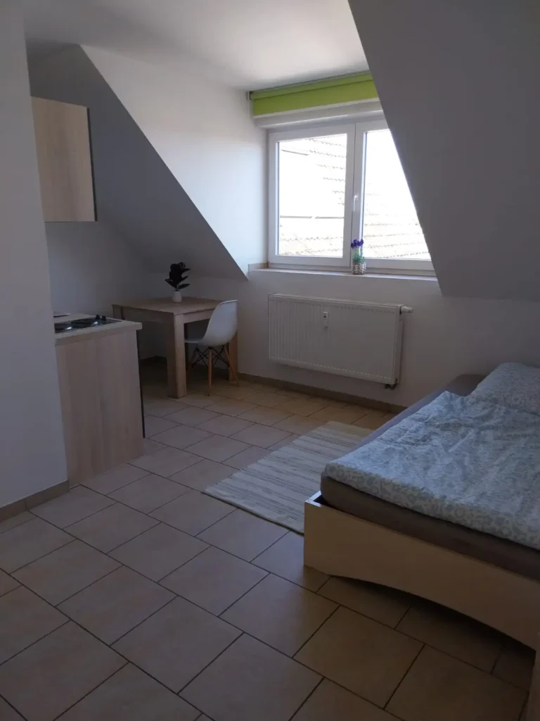 studentenapartments-wg-zimmer-freiberg-sachsen-chemnitzerstraße-44- (6)